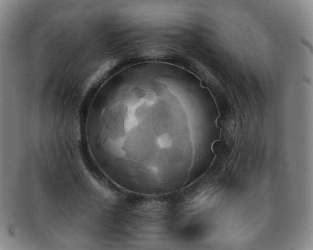 X0000091500734200708231444