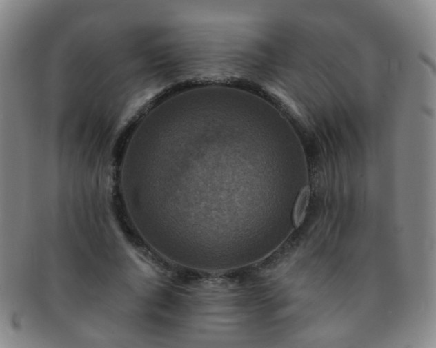 X0000091500736200708231444