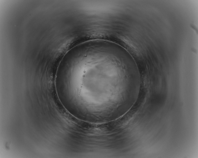 X0000091500737200708231444