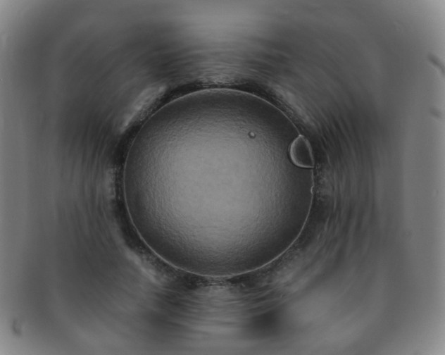 X0000091500738200708231444