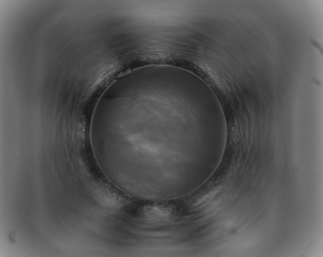 X0000091500739200708231444