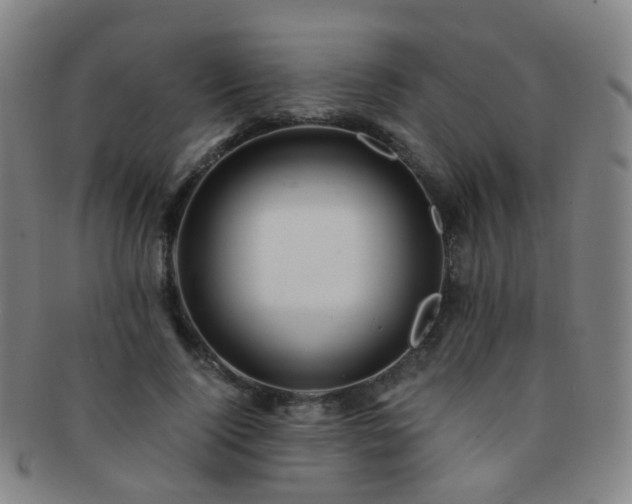 X0000091500740200708231444