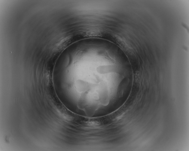 X0000091500741200708231444