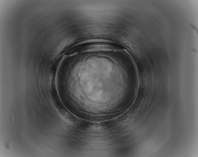 X0000091500742200708231444