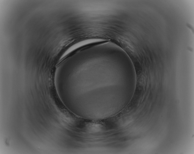 X0000091500743200708231444