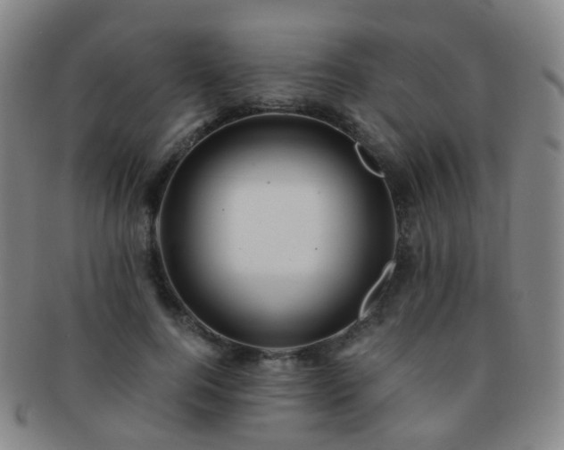 X0000091500744200708231444