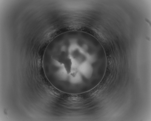 X0000091500745200708231444