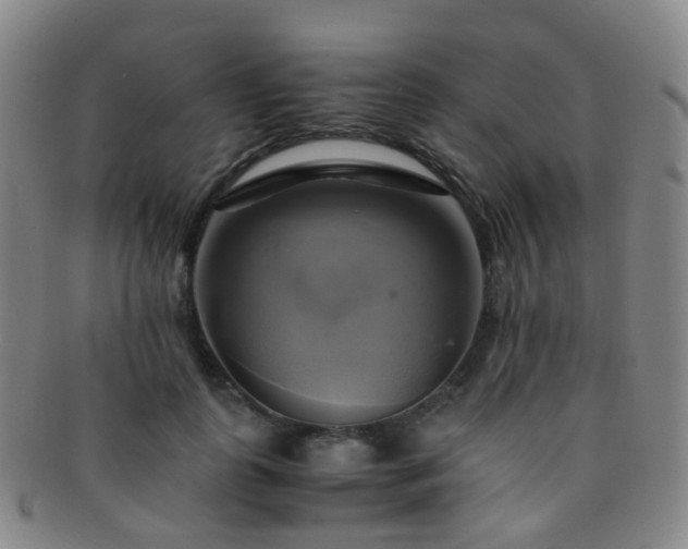 X0000091500747200708231444
