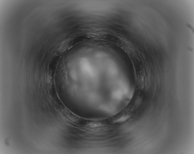 X0000091500749200708231444