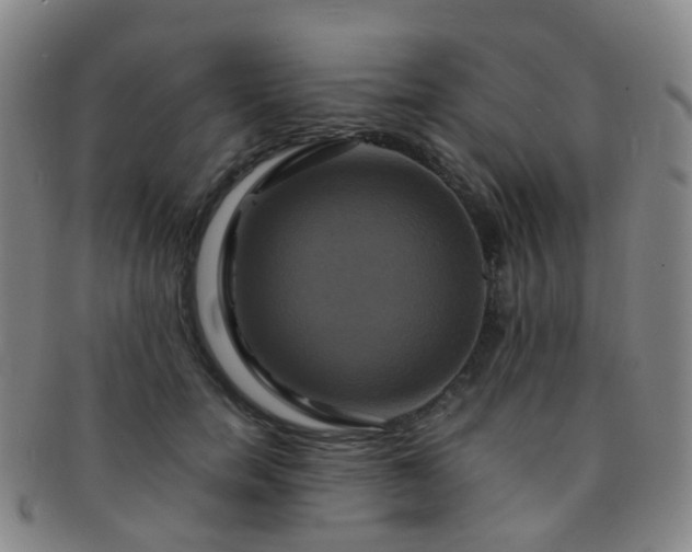X0000091500750200708231444