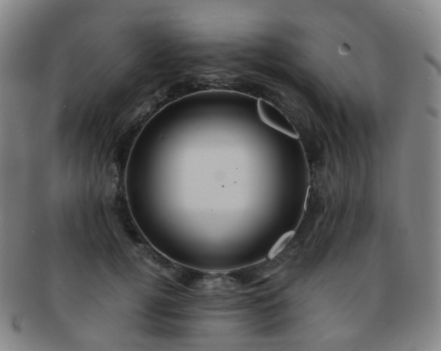 X0000091500752200708231444