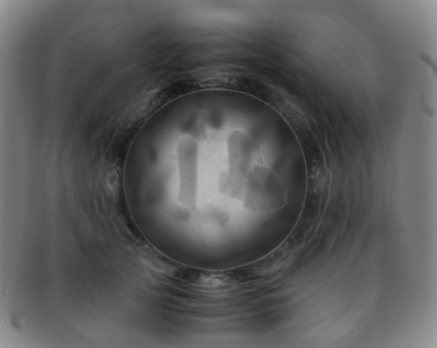 X0000091500753200708231444