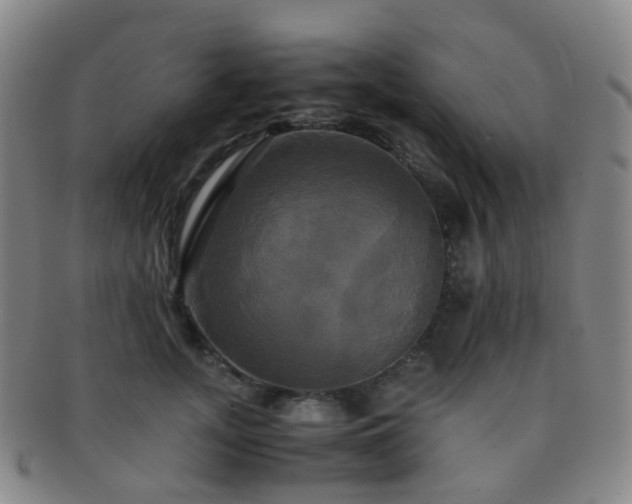 X0000091500755200708231444
