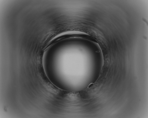 X0000091500756200708231444