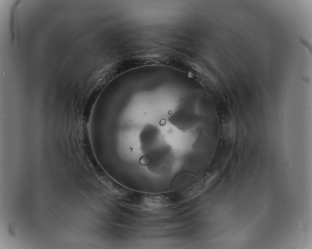 X0000091500757200708231444