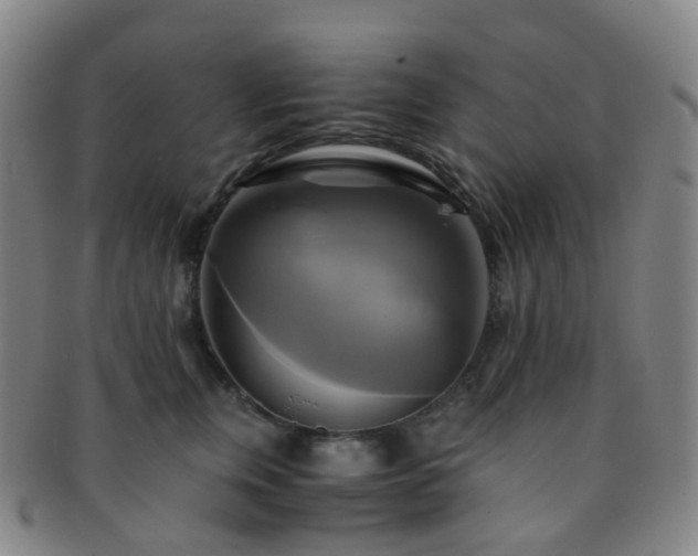 X0000091500759200708231444