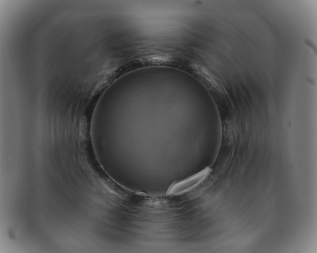 X0000091500760200708231444