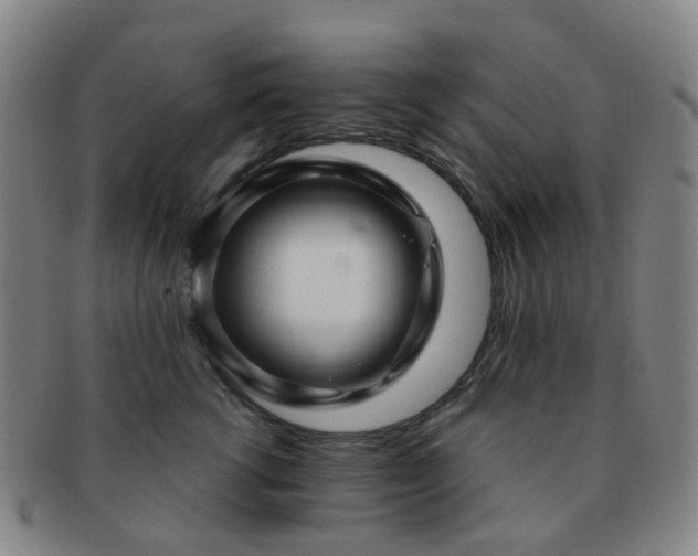 X0000091500762200708231444