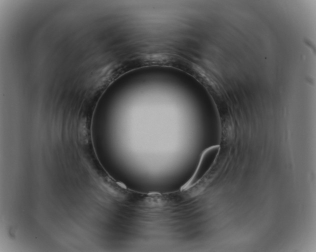 X0000091500764200708231444