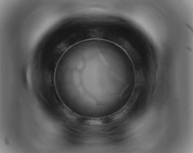 X0000091500765200708231444