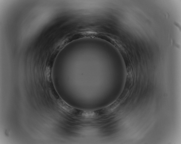 X0000091500767200708231444