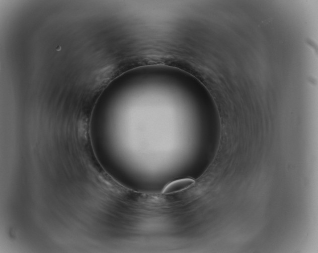 X0000091500768200708231444