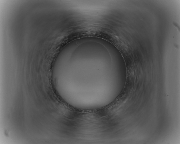 X0000091500769200708231443