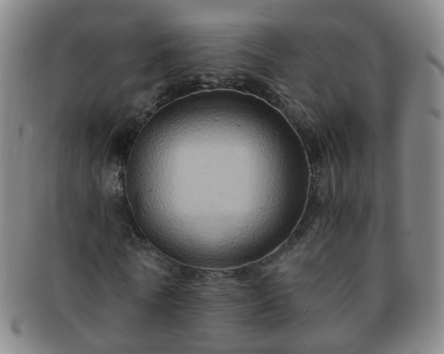 X0000091500770200708231443