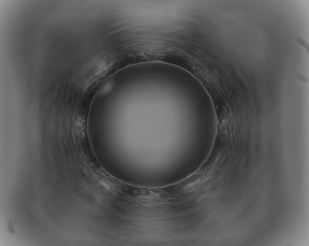 X0000091500772200708231443
