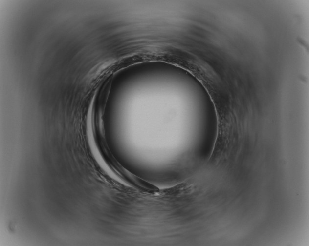 X0000091500773200708231443