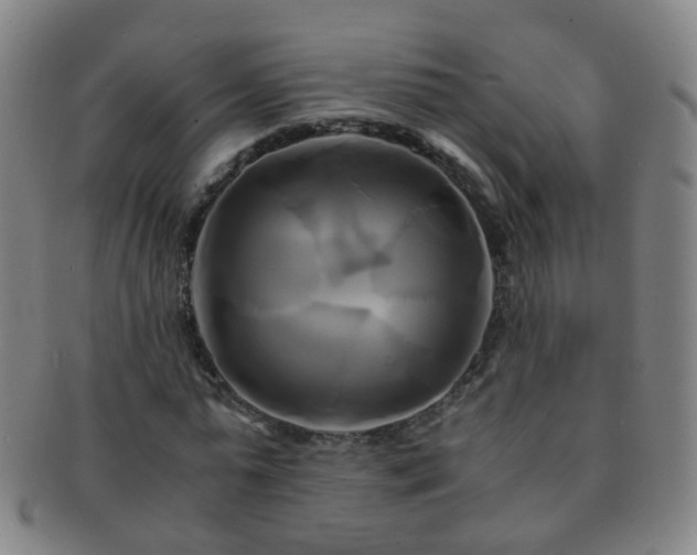X0000091500775200708231443