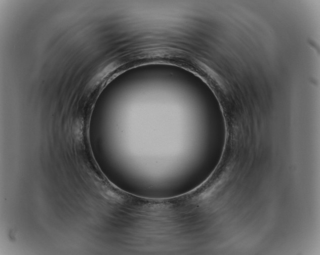 X0000091500778200708231443