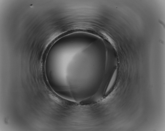 X0000091500779200708231443