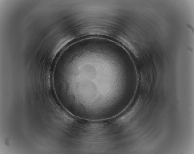 X0000091500782200708231443