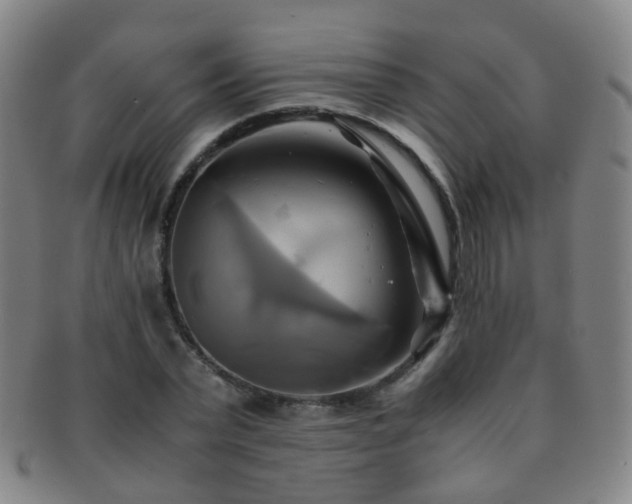 X0000091500783200708231443