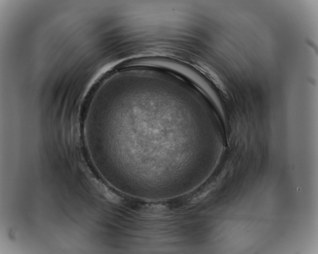 X0000091500784200708231443