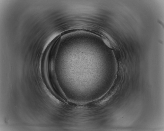 X0000091500788200708231443