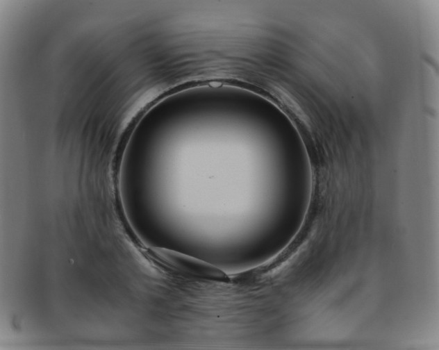 X0000091500789200708231443