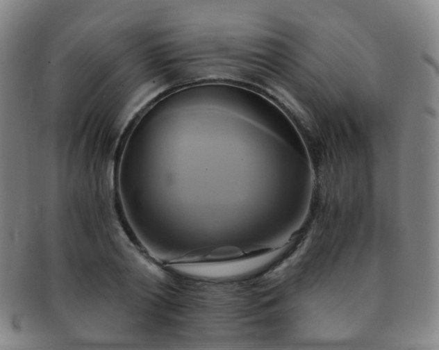 X0000091500790200708231443