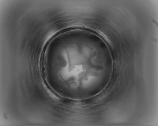 X0000091500791200708231443