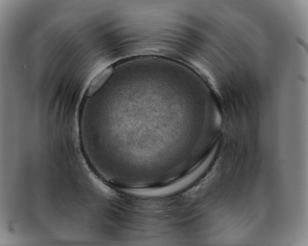 X0000091500792200708231443