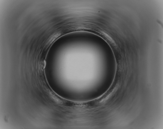 X0000091500793200708231443