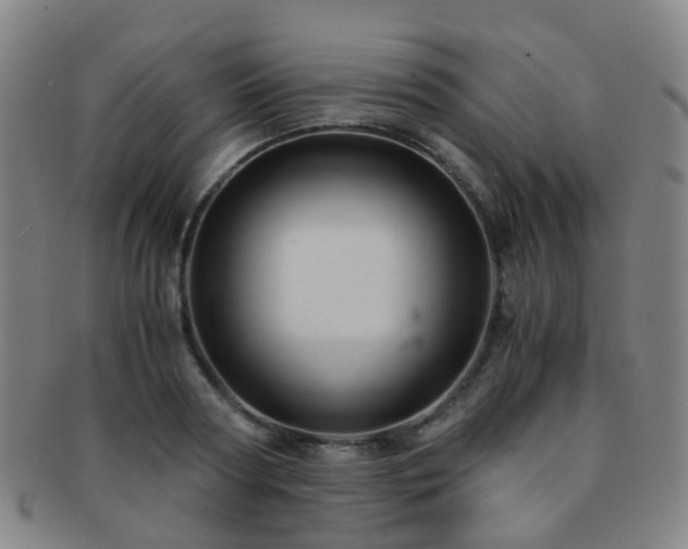 X0000091500794200708231443