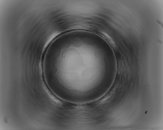 X0000091500796200708231443