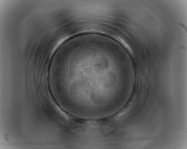 X0000091500799200708231443