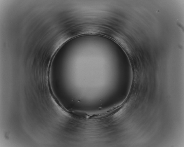 X0000091500802200708231443