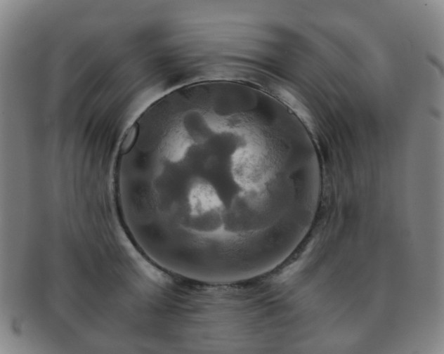 X0000091500803200708231443