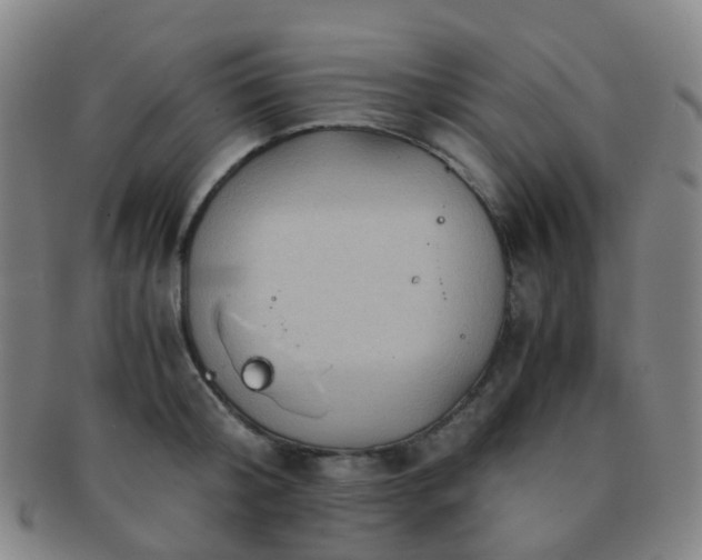 X0000091500804200708231443