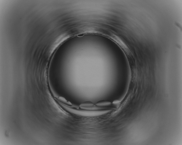 X0000091500806200708231443