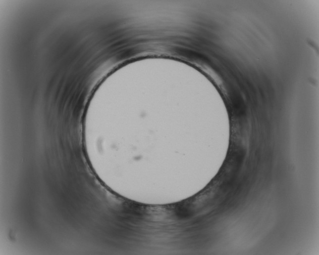 X0000091500807200708231443